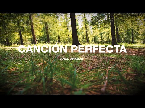 Anxo Araújo  - Canción Perfecta