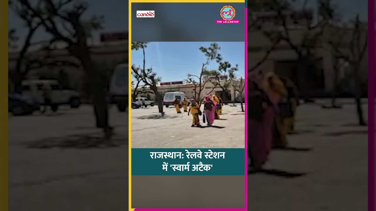 Rajasthan के Nagaur में रेलवे स्टेशन पर मधुमक्खियों ने किया हमला,महिला ने चादर ओढ़कर बचाई जान#shorts
