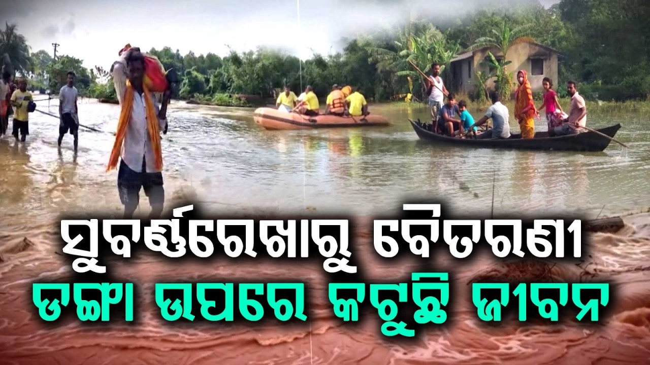 ସୁବର୍ଣ୍ଣରେଖାରୁ ବୈତରଣୀ...| Odisha Flood Fury: Rivers Overflow, Thousands Stranded & Crops Destroyed