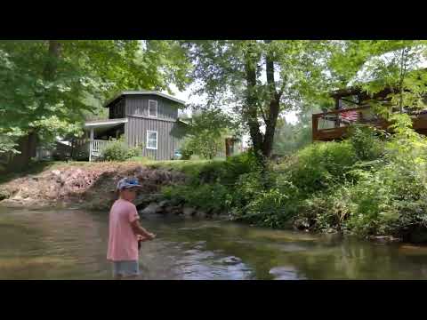 Property video