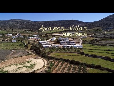Video realizado por la propiedad