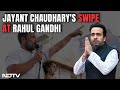 Jayant Choudhurys Dig At Rahul Gandhi: Hope He Doesnt Call Mathura Poeple Alcoholic