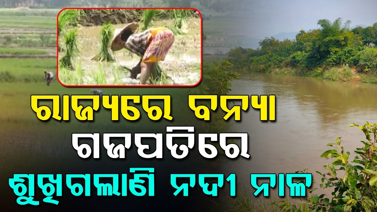 Gajapati Faces Drought-Like Situation Amid Odisha Floods; Farmers Worried Over No Rain | Argus News