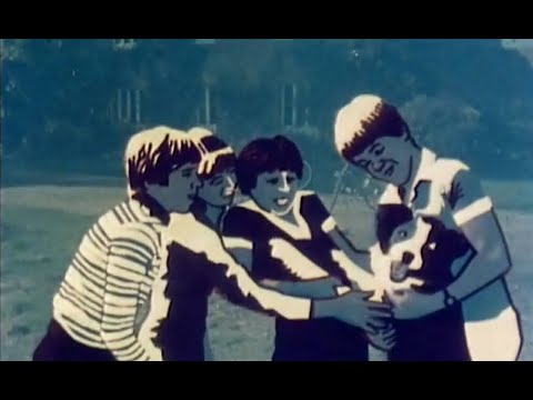 Enid Blyton Fünf Freunde Folge 5 bis 10