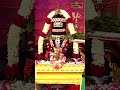 సకలాభీష్టాలను సిద్ధింపజేసే కోటి బిల్వార్చన.. వీక్షించి ఫలితం పొందండి #bilvarchana #bilvashtakam - 00:27 min - News - Video
