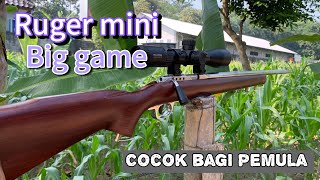 REKOMENDASI  PEMULA ❕❕❕. RUGER MINI BIG GAME 👍👍