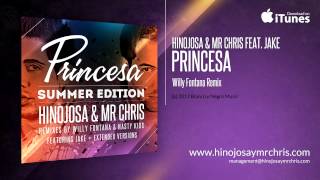 Princesa - Willy Fontana Remix Radio Edit