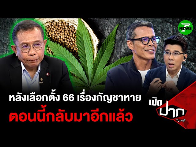 ภท.โวยหลังเลือกตั้ง 66 เรื่องกัญชาหาย ตอนนี้กลับมาอีกแล้ว | 26 มิ.ย. 68 | เปิดปากกับภาคภูมิ