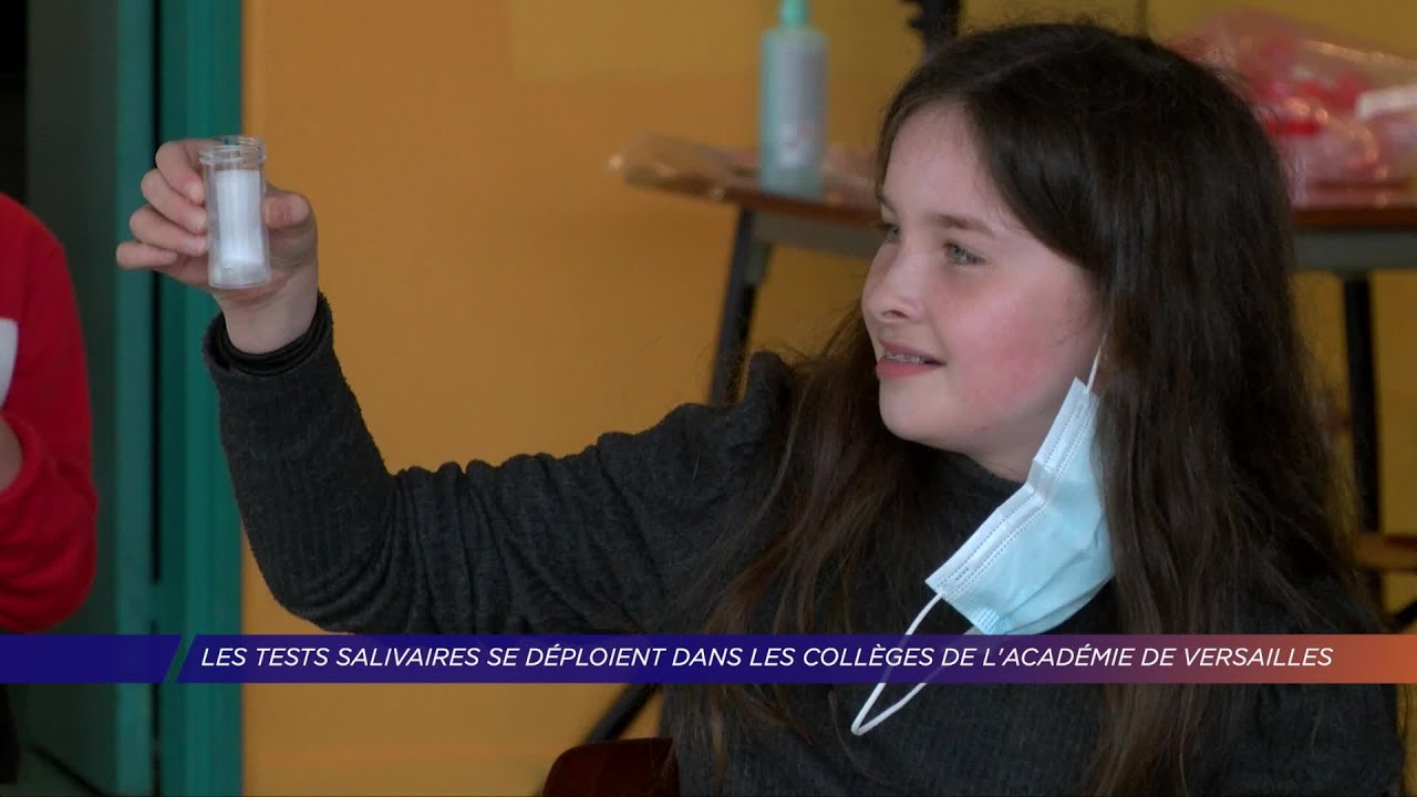 Yvelines | Les tests salivaires se déploient dans les collèges de l’académie de Versailles