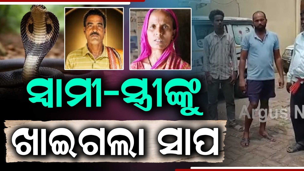 Tragedy in Bhadrak: Husband and Wife D*e After Snake Bite While Sleeping at Home | Argus News