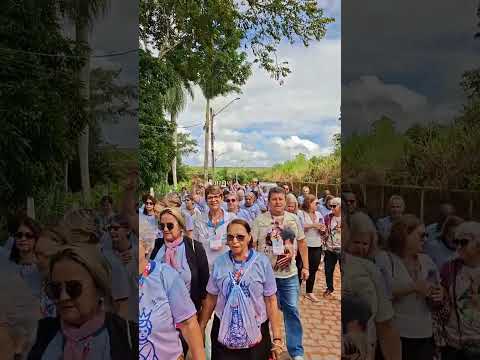 Caminhada Mariana rumo à Basílica de Nossa Srª Auxiliadora, em Jaboatão - VI Cong. Nacional da ADMA