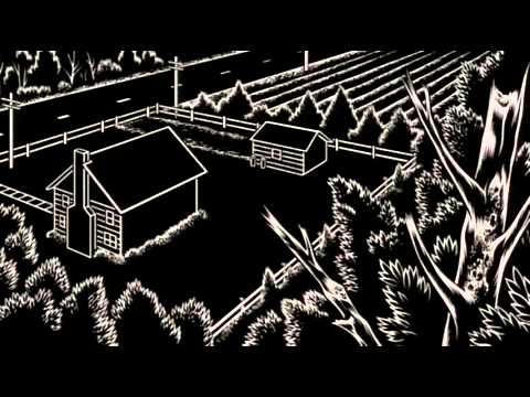Peur(s) du noir'