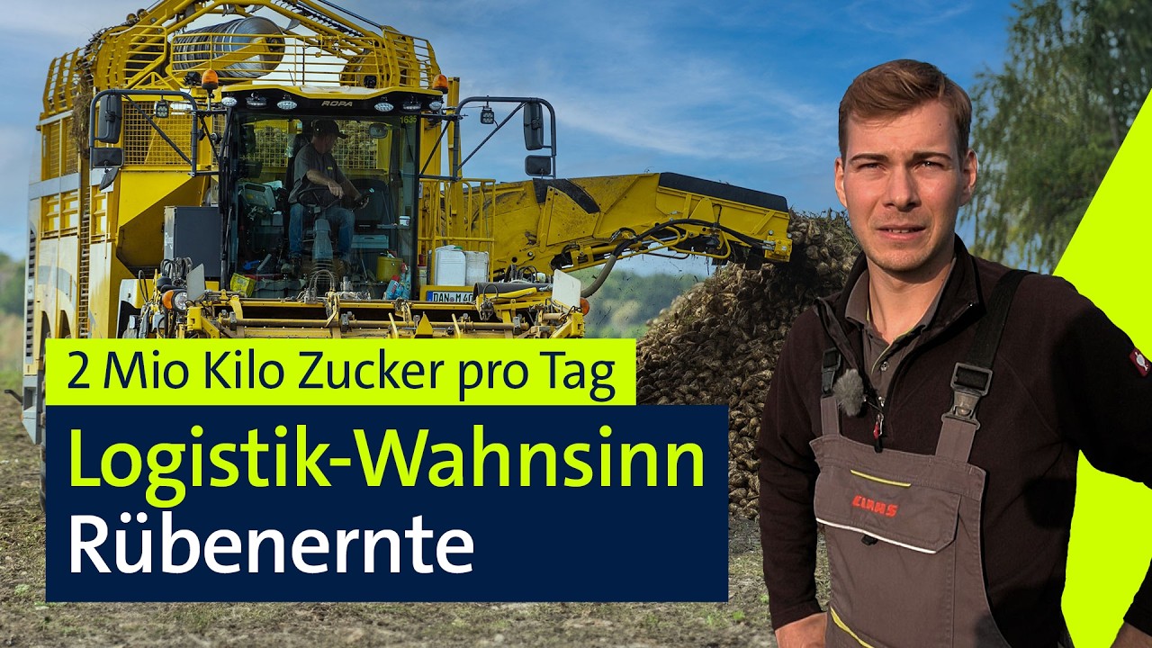 Rüben-Ernte Tag und Nacht: Vom Feld zum Zuckerwürfel | Abendschau Reportage | BR24