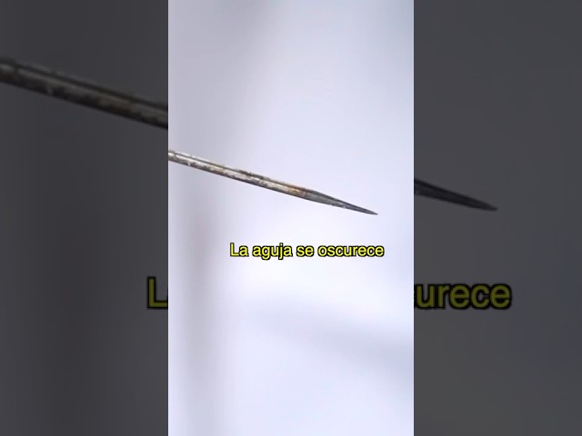 ¿Realmente una AGUJA de plata puede DETECTAR VENENO? #miwuscience #miwuscienceespañol #shortsfeed