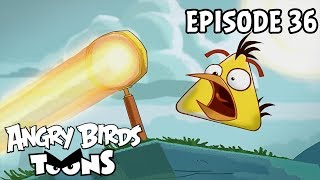 Angry Birds Toons #36 - Zohriaty