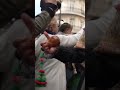 Sheep walk through Madrid for centuries-old migration festival