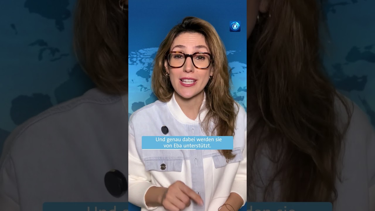 So hilft Hündin Eba hilft bei der Rettung von Orcas nachrichten tagesschau orcas