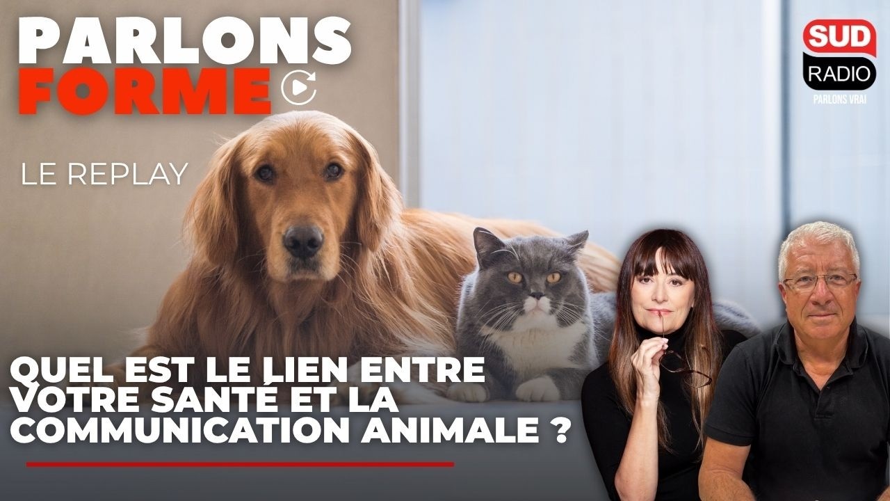 Quel est le lien entre votre santé et la communication animale ?