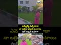 ఎమ్మెల్యే వచ్చేదాకా నా బర్రెలు ఇక్కడే ఉంటాయి షాక్ ఇచ్చిన మహిళా | Latest Viral Video | Prime9 News