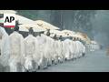 Japans most sacred Shinto shrine is rebuilt every 20 years