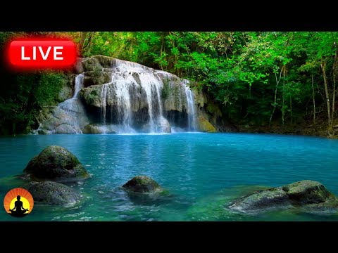 🔴 Relaxing Meditation Music 24/7, Relaxing Music, Sleep Music, Mediation Music, Study Music