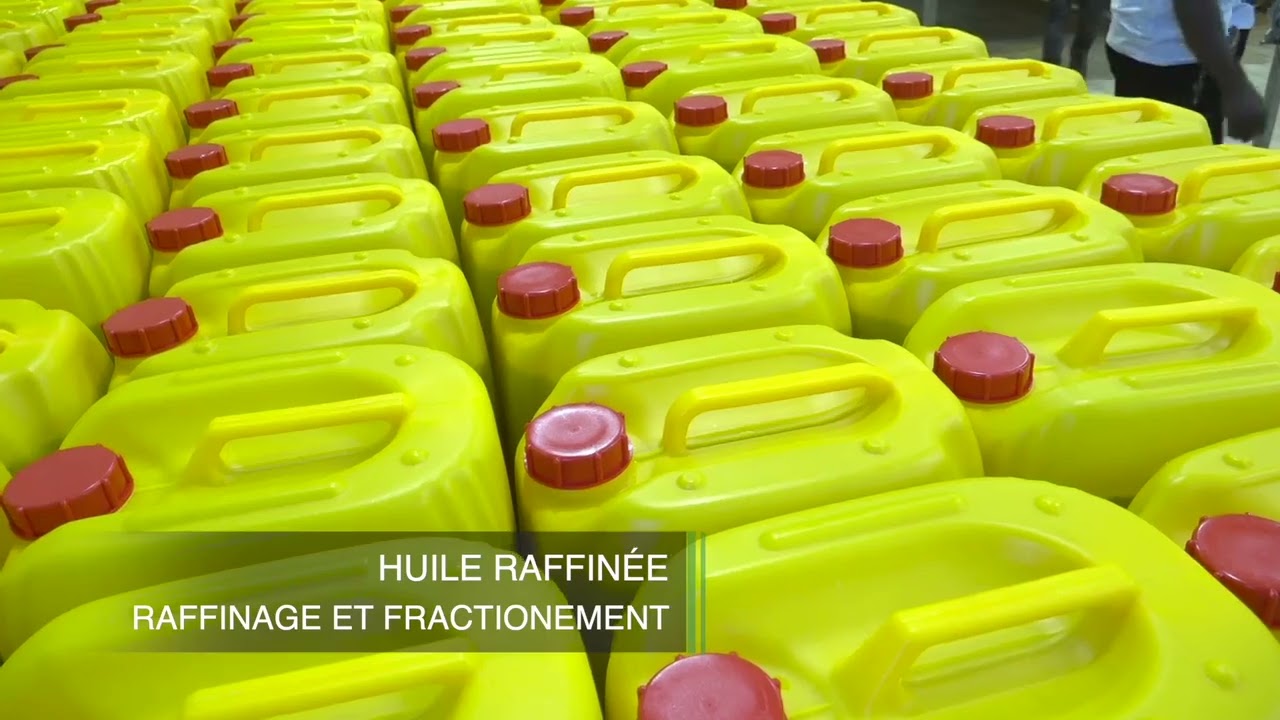 Autosuffisance alimentaire : Découvrez le gigantesque complexe industriel du Groupe CIAO Guinée