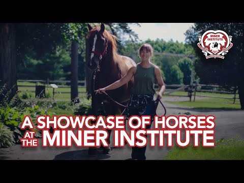 A showcase of horses at the Miner Institute 7-31-20