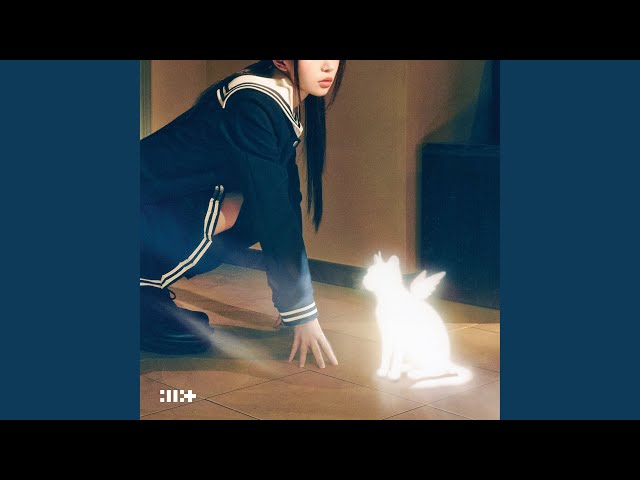 빌려온 고양이 (Do the Dance)