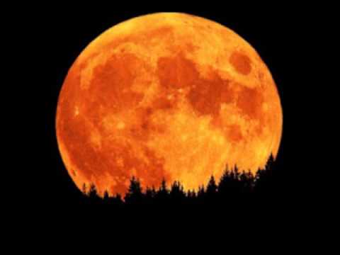 Erykah Badu Orange Moon
