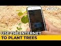 This NGO Helps People Plant Trees Virtually