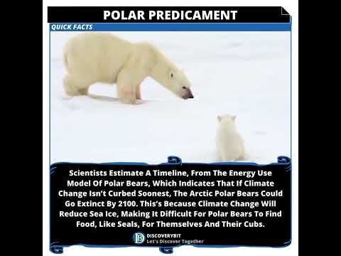 Countdown To Silence: The Arctic Polar Bears Impending Extinction