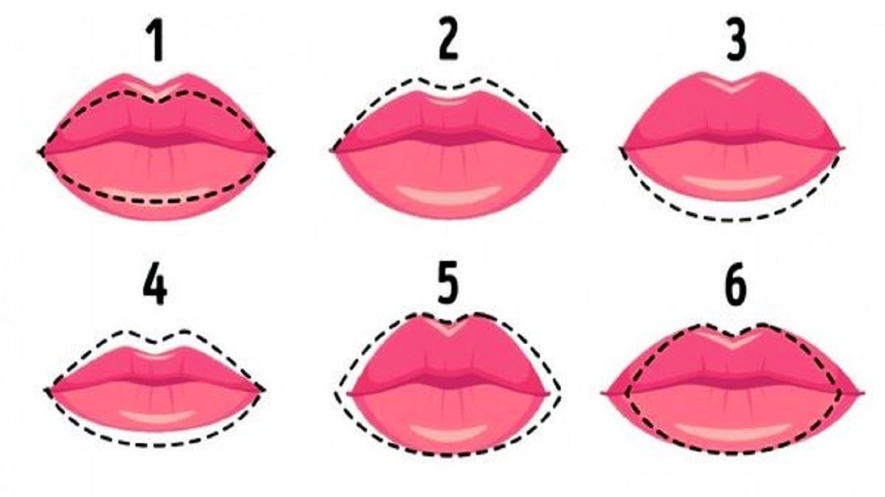 Форма половых губ у женщин персик