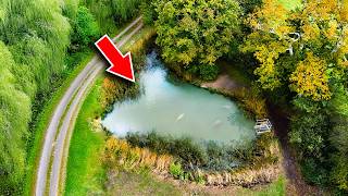 A Tiny Pond and the Biggest Carp Ive Ever Seen.