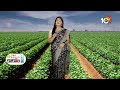 సరిపడ కురవవి వర్షాలు..ఆందోళనలో రైతులు | Farmers suffering From Rains | Matti Manishi | 10TV  - 06:48 min - News - Video