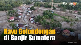 Misteri Kayu Gelondongan di Banjir Sumatera