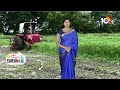 పచ్చిరొట్ట పైర్లతో.. పంటలకు బలం | Green Manure Cultivation | Matti Manishi | 10TV  - 05:00 min - News - Video
