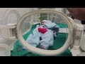 Gazan mother reunites with her newborn  - 01:22 min - News - Video