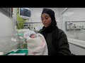 Gazan mother reunites with her newborn