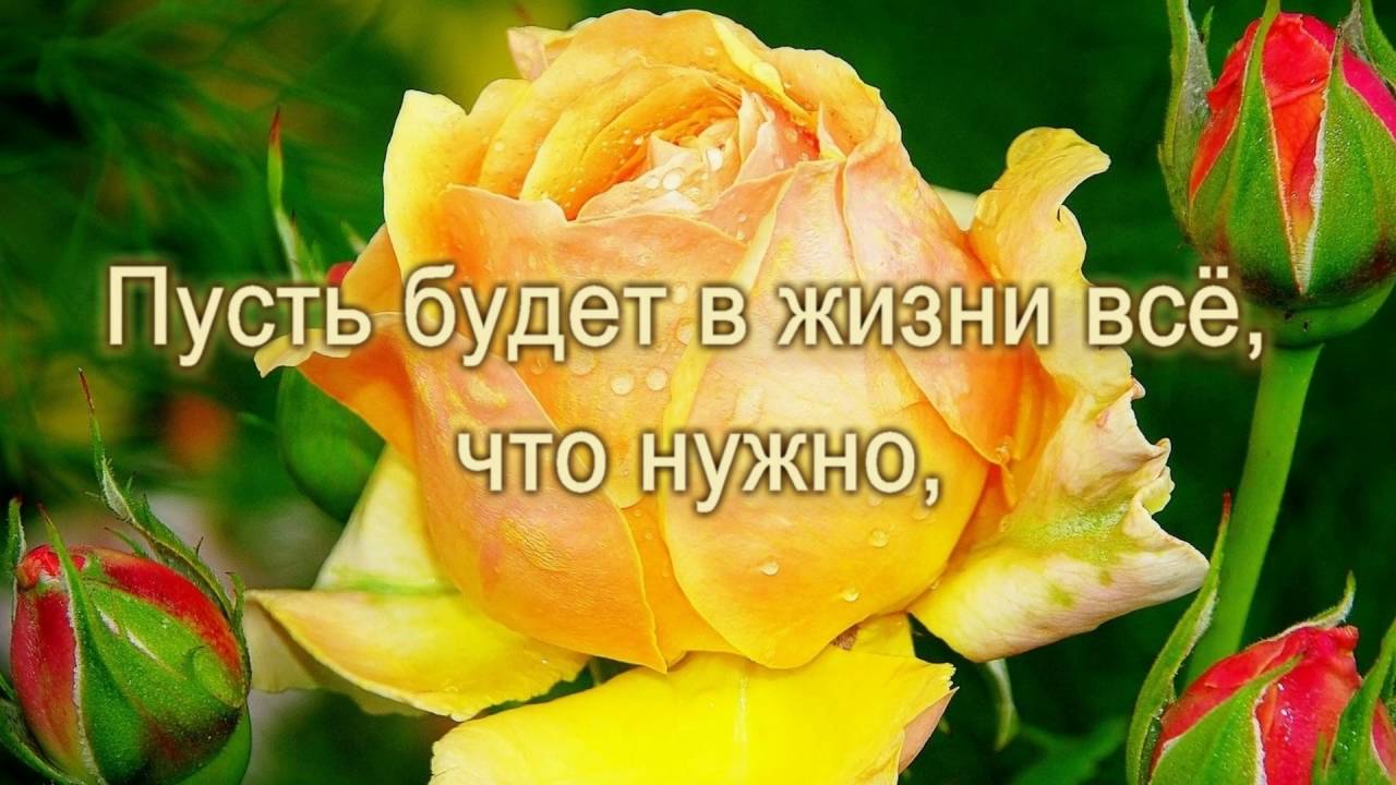 Фото С Днем Рождения Алла