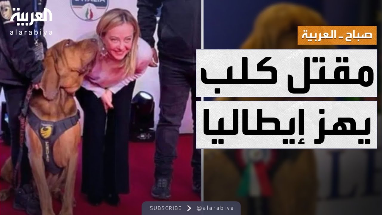 صباح العربية | مقتل كلب بوليسي يتحول إلى قضية أمن قومي في روما