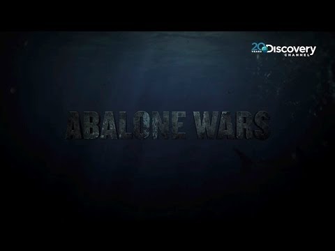 Abalone Wars'