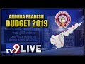 AP Budget 2019 LIVE- Andhra Pradesh Assembly Sessions