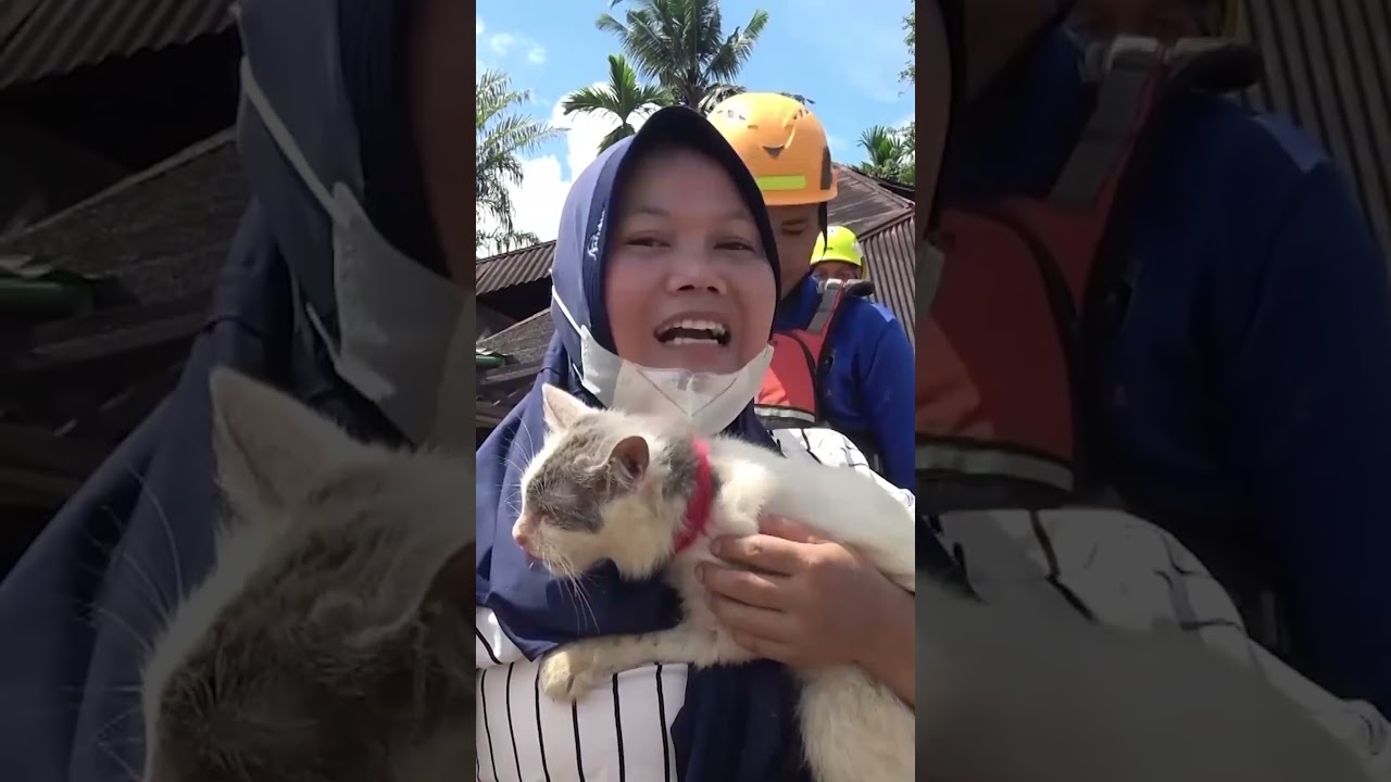 Cat reunites with owner after surviving Indonesia floods