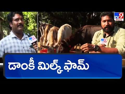 Donkey Farm launched by four friends in EG district; inspires many - TV9 Exclusive