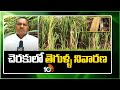 Prevention of Pests in Sugarcane | చెరకులో తెగుళ్ళ నివారణ | Matti Manishi | 10TV News