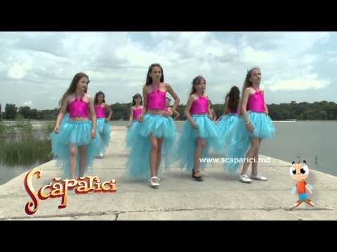 Vokal-Star - Modele