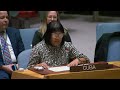 LIVE: UN Security Council resumes debate on Middle East, Palestinian question  - 00:00 min - News - Video