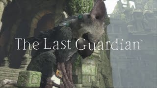 The last guardian disponible en exclusivité sur ps4 :  bande-annonce