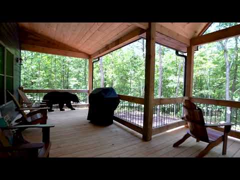 Property video