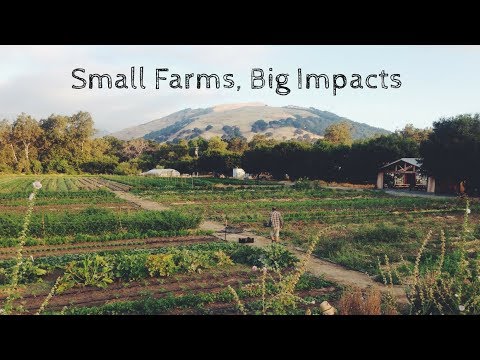 The FruitGuys Community Fund was founded in 2012 to provide small grants (up to $5,000) to small farms and agricultural nonprofits for sustainability projects that have a large positive impact on the environment, local food systems, and farm diversity. The FruitGuys Community Fund was founded in 2012 to provide small grants (up to $5,000) to small farms and agricultural nonprofits for sustainability projects that have a large positive impact on the environment, local food systems, and farm diversity.